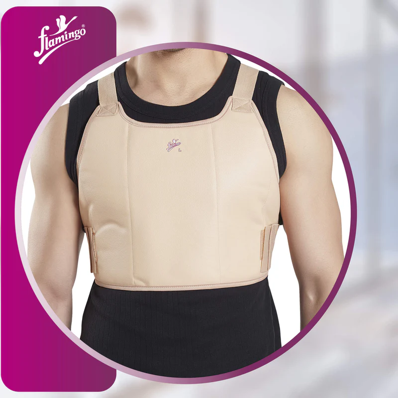 Chest Guard (Brand: Flamingo) 2
