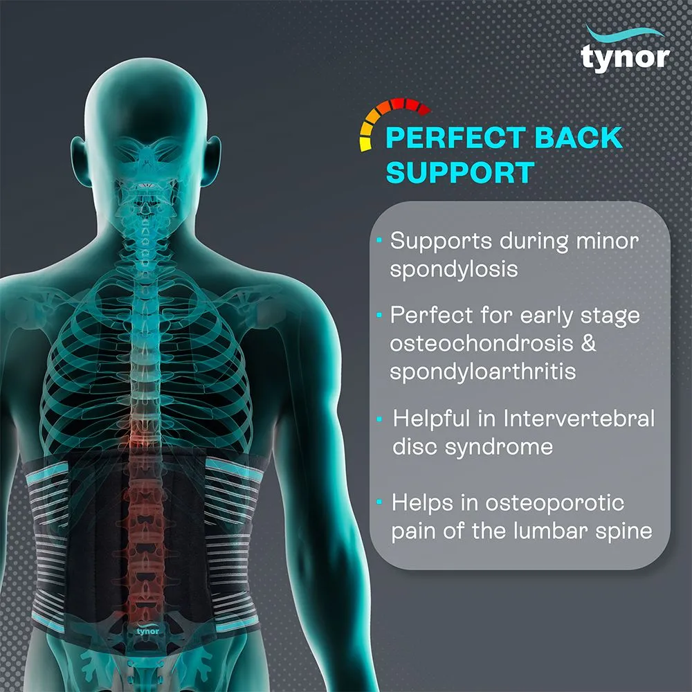 Lumbo Sacral Belt (tynor) 2