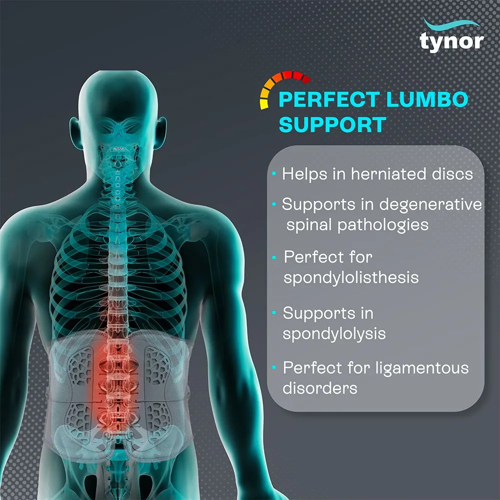 Lacepull L.S Belt (tynor) 2