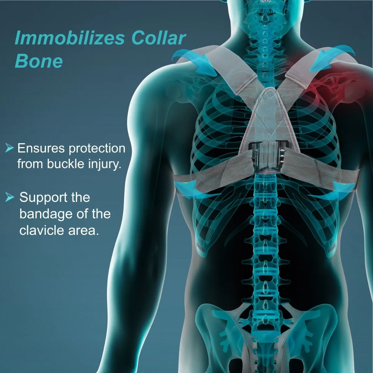 Clavicle Brace with Buckle (tynor) 2