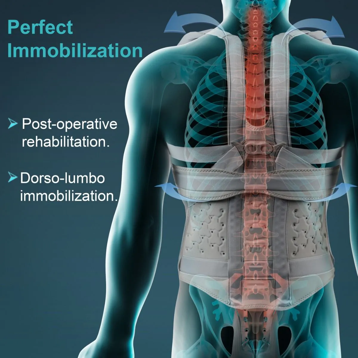 Taylor's Brace Urbane (tynor) 2