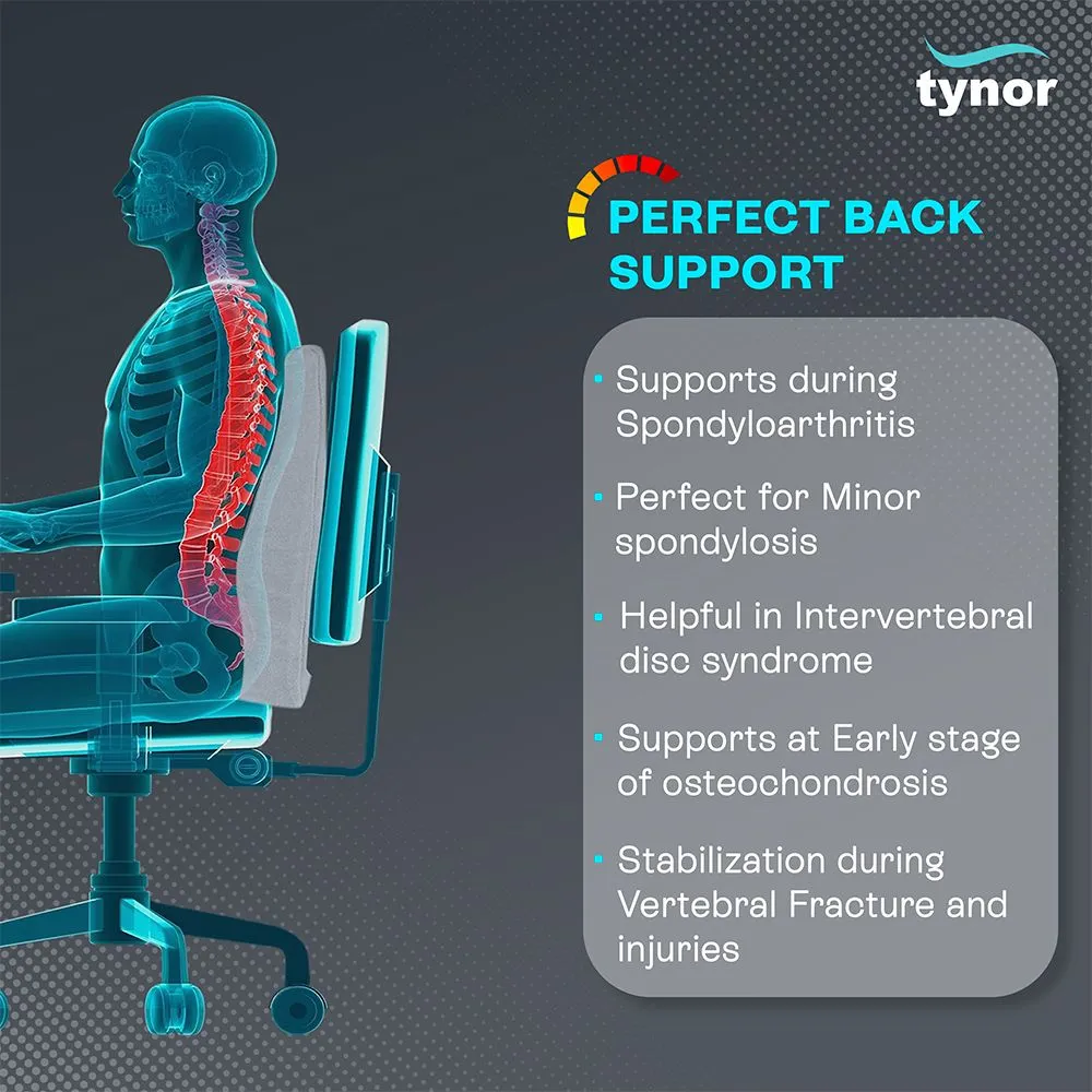 Back Rest Full (tynor) 2
