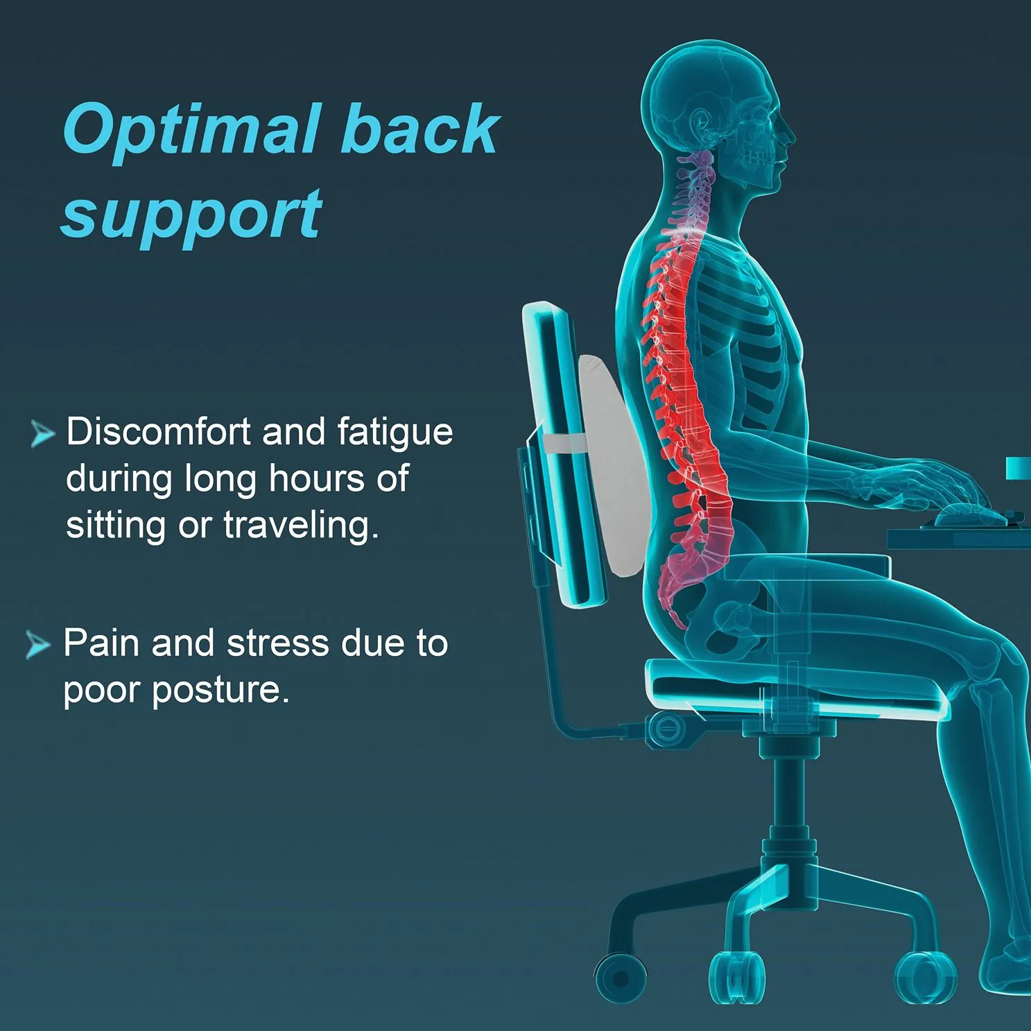 Lumbo Back Rest Urbane (tynor) 4